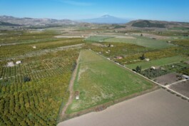 BG Energia Agricola