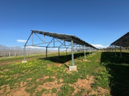 BG Energia Agricola