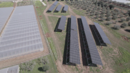 BG Energia Agricola