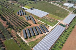 BG Energia Agricola